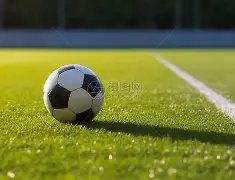 郭勇冯耀恩,未能进入,总决赛男双,500足球比分,500体育即时比分,500体育比分网,比分直播