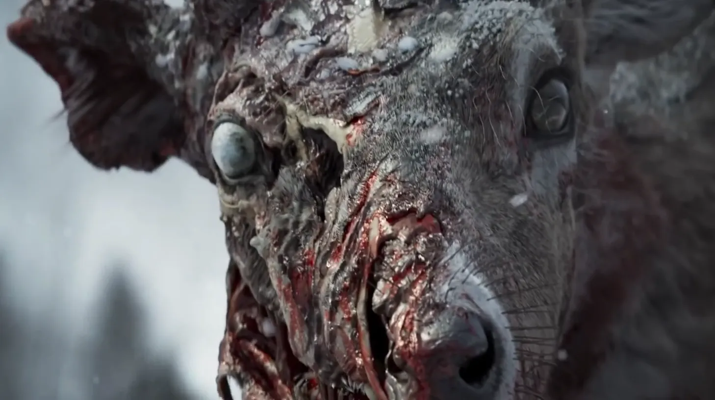 哈登跌倒瞬,邓紫棋惊呆,表情成网络,500足球比分,500体育即时比分,500体育比分网,比分直播