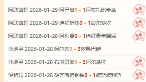 “中国羽毛球大师赛完美收官，国羽两将夺冠 环球时报讯”